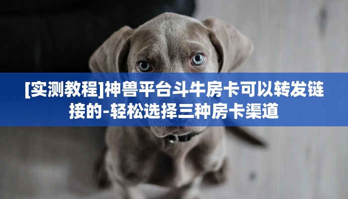 [种草分享]微信网页上斗牛链接房卡-详细房卡指南