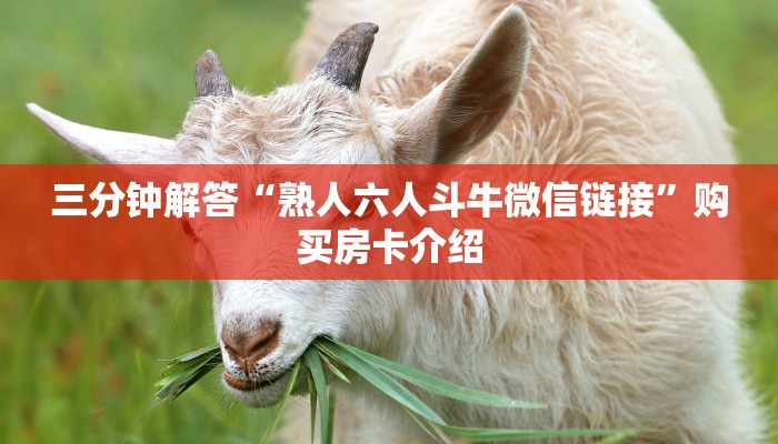 三分钟解答“熟人六人斗牛微信链接”购买房卡介绍