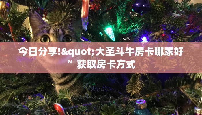 今日分享!"大圣斗牛房卡哪家好”获取房卡方式