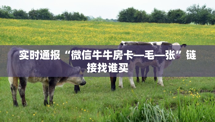 实时通报“微信牛牛房卡—毛—张”链接找谁买