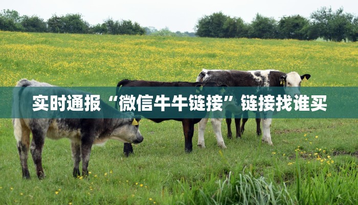 实时通报“斗牛房卡从哪购买”链接找谁买
