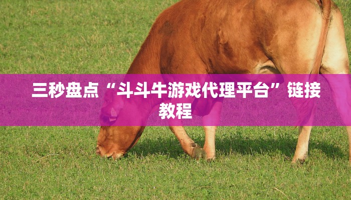 三分钟解答“新乐游斗牛房卡在哪里买”购买房卡介绍