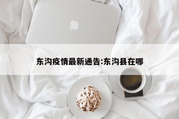 东沟疫情最新通告:东沟县在哪