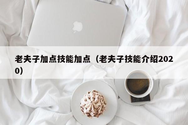 老夫子加点技能加点（老夫子技能介绍2020）