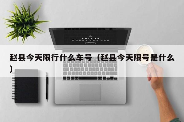 赵县今天限行什么车号（赵县今天限号是什么）