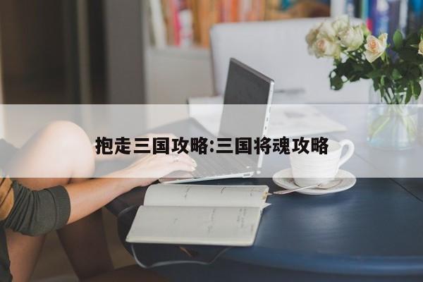 抱走三国攻略:三国将魂攻略