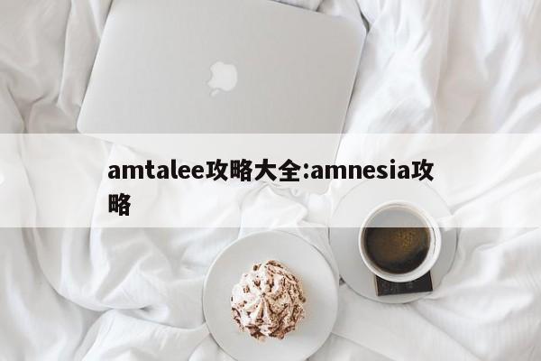 amtalee攻略大全:amnesia攻略