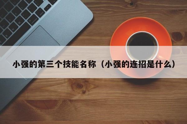 小强的第三个技能名称（小强的连招是什么）